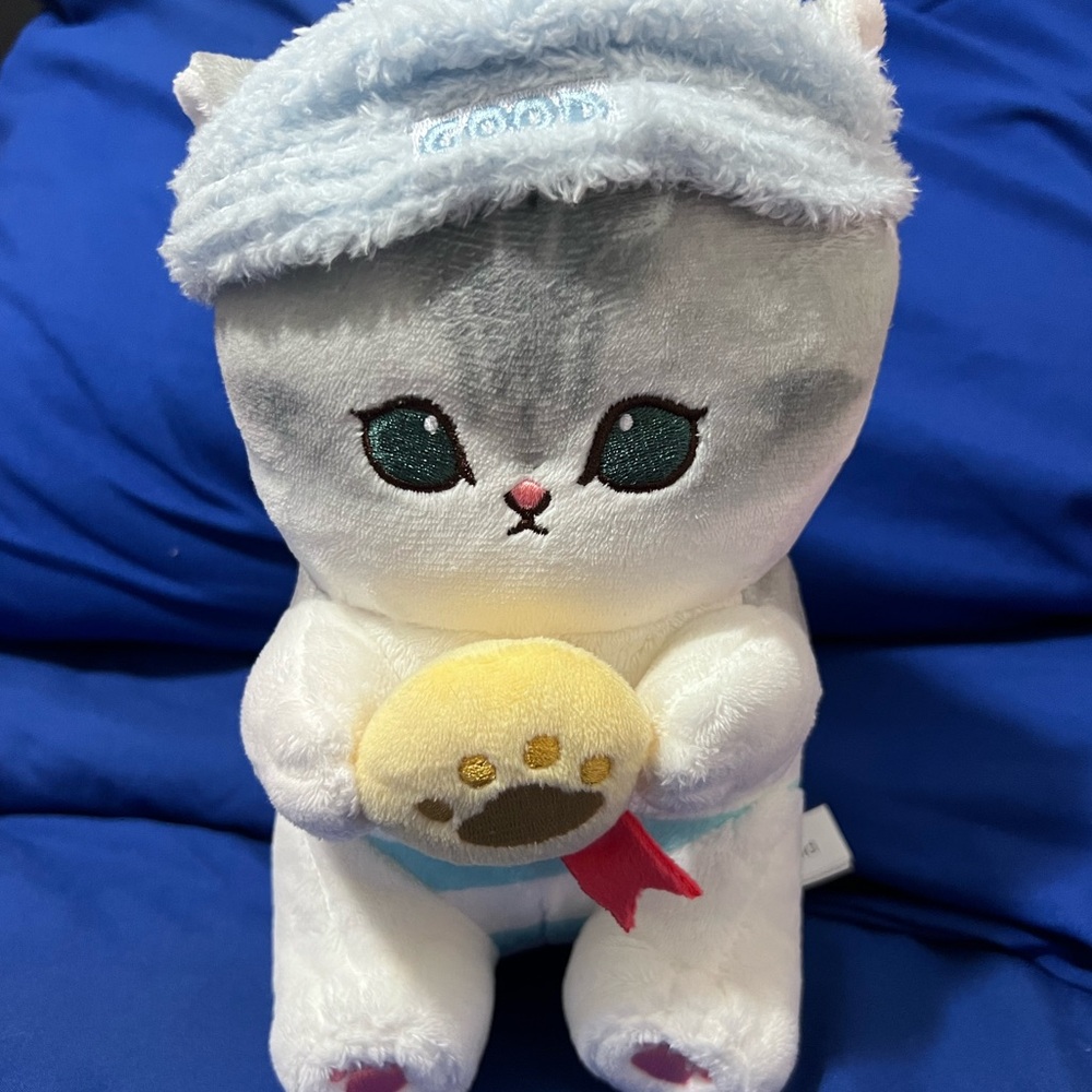 ⭐️ Shark Cat Plushie ⭐️